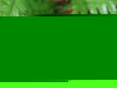 APEC˵ζʮ
