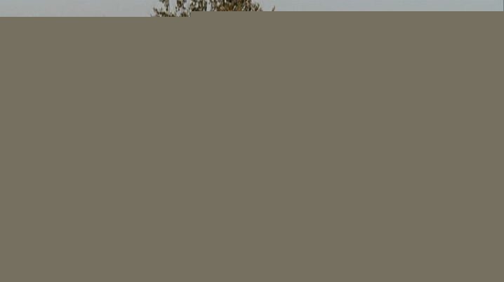 Ҫϵ౤